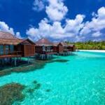 yurt dışı tur, tatil tur,balkan tur, yunan turları,yunanistan tur, yunanistan otel,,otel,ets tur,setur,yurt dışı tur, vizesiz tur, balkan turları,avrupa tur,banka,tatil,otel kirala, antalya otelleri, hotels,yazlık otel, erken otel fırsatları,  yaz tatili otel,erken rezervasyon,tatil,haftalık otel,seyahat,konaklama,ucuz otel,pansiyon,bungalov,otel fiyatları,lüks otel harika oteller 5 yıldız otel konforlu oda otel,otel,  trivago,otels,hotel,kredi başvuru banka kredisi kefilsiz kredisi araç kredisi araba kredi kredi kartı başvuru ihtiyaç kredisi düşük faizli kredi akbank finansbank enpara ziraat bankası vakıf bank halkbank yapı kredi bankası ev kredisi başvurusu,iş bankası, albaraka mücehver satın al elmas satın al,denizbank,AKBANK,DENİZBANK,FİNANSBANK QNB, İŞ BANKASI, HALKBANK,VAKIF KATILIMEn iyi tatil paketleri,yat turu, Gemi turu, Sağlık sigortası, hayat sigortası, bitcoin, Kayak Merkezi, Kış Sporları, Konaklama, Tatil Köyü, Dağ Tatili, Kış Oteli, Tatil Rehberi, Kayak Pisti, Kış Tatili Fırsatları, Kayak Kiralama, Kayak Merkezi Otelleri, Kış Tatili Konaklaması, Dağ Evi, Turistik Bölge, Kış Turizmi, Yılbaşı Tatili, Kayak Turu, Kış Aktivitesi, Kayak Kampı, Kayak Otel Fiyatları, Yüksek Dağ Tatili, Kış Tatili Paketleri, Kayakçı Otelleri, Kayaklı Tatil, Konforlu Tatil.kayak tatili,otel,tatil,kış tatili,turizmUludağ, Erciyes, Palandöken, Kartalkaya, Sarıkamış, Davraz, Çıldır, Kartepe, Bolu Göynük, Çankırı Ilgaz, Aladağlar, Morit Dağı, Hakkari, Düzce Yenimahalle, Saklıkent, kayak tatili,otel,tatil,kış tatil