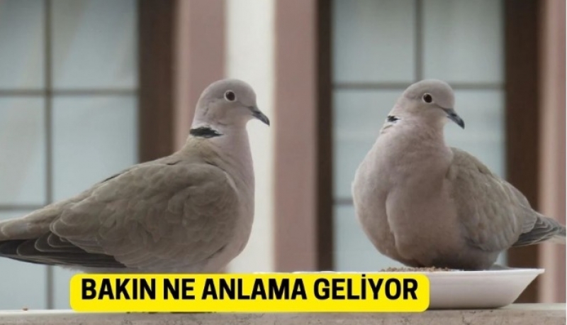 yurt dışı tur, tatil tur,balkan tur, yunan turları,yunanistan tur, yunanistan otel,,otel,ets tur,setur,yurt dışı tur, vizesiz tur, balkan turları,avrupa tur,banka,tatil,otel kirala, antalya otelleri, hotels,yazlık otel, erken otel fırsatları,  yaz tatili otel,erken rezervasyon,tatil,haftalık otel,seyahat,konaklama,ucuz otel,pansiyon,bungalov,otel fiyatları,lüks otel harika oteller 5 yıldız otel konforlu oda otel,otel,  trivago,otels,hotel,kredi başvuru banka kredisi kefilsiz kredisi araç kredisi araba kredi kredi kartı başvuru ihtiyaç kredisi düşük faizli kredi akbank finansbank enpara ziraat bankası vakıf bank halkbank yapı kredi bankası ev kredisi başvurusu,iş bankası, albaraka mücehver satın al elmas satın al,denizbank,AKBANK,DENİZBANK,FİNANSBANK QNB, İŞ BANKASI, HALKBANK,VAKIF KATILIMEn iyi tatil paketleri,yat turu, Gemi turu, Sağlık sigortası, hayat sigortası, bitcoin